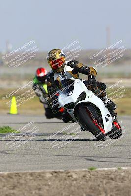 media/Feb-21-2025-Lets Ride (Fri) [[f483f33afd]]/B Group/940am (Sweeper)/